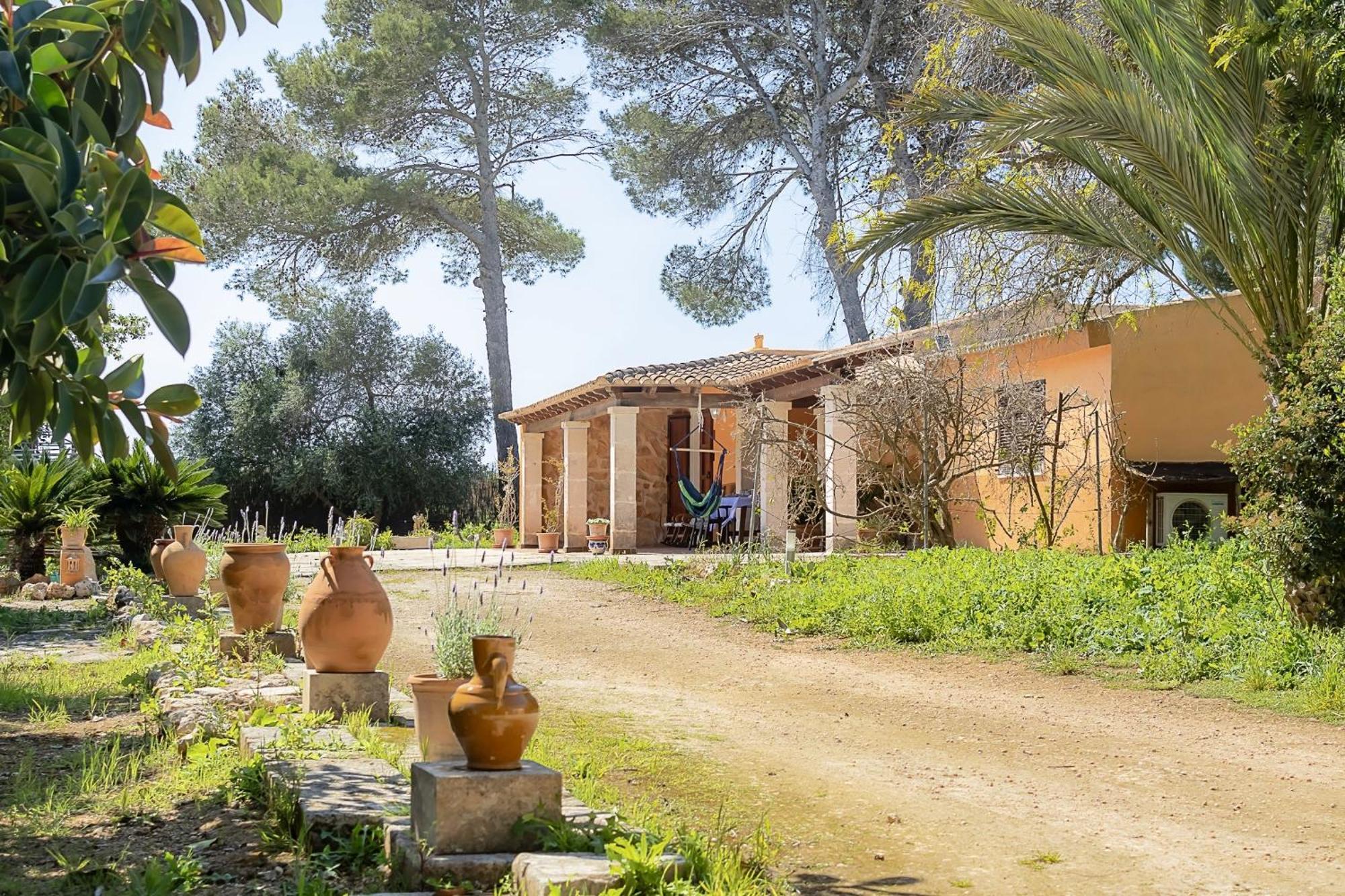 Son Pereto Petit Сasa de vacaciones *